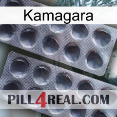 Kamagara 31